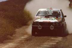 1985-Rayneri-Pirollo-2-4