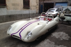 lotus-3