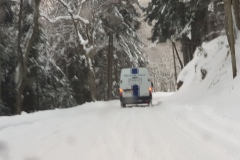 2019-1
